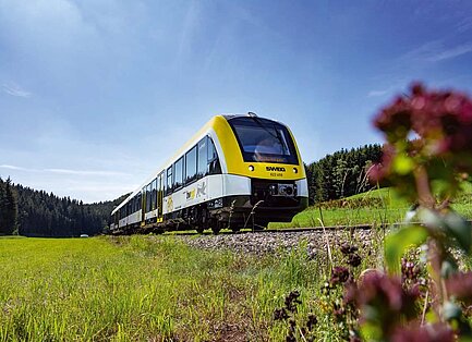 Zug mit Wiese im Vordergrund
